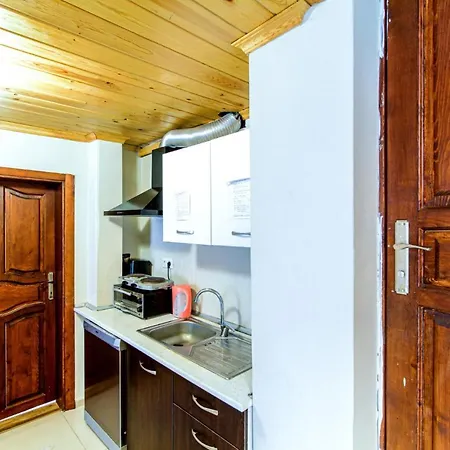 Historical Duplex With Patio In Beyoglu * Istanbul