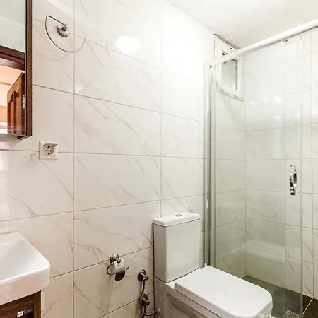 Historical Duplex With Patio In Beyoglu